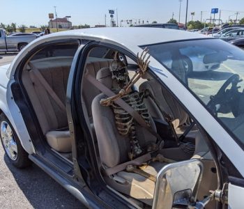 skeleton