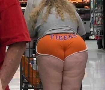 tigers